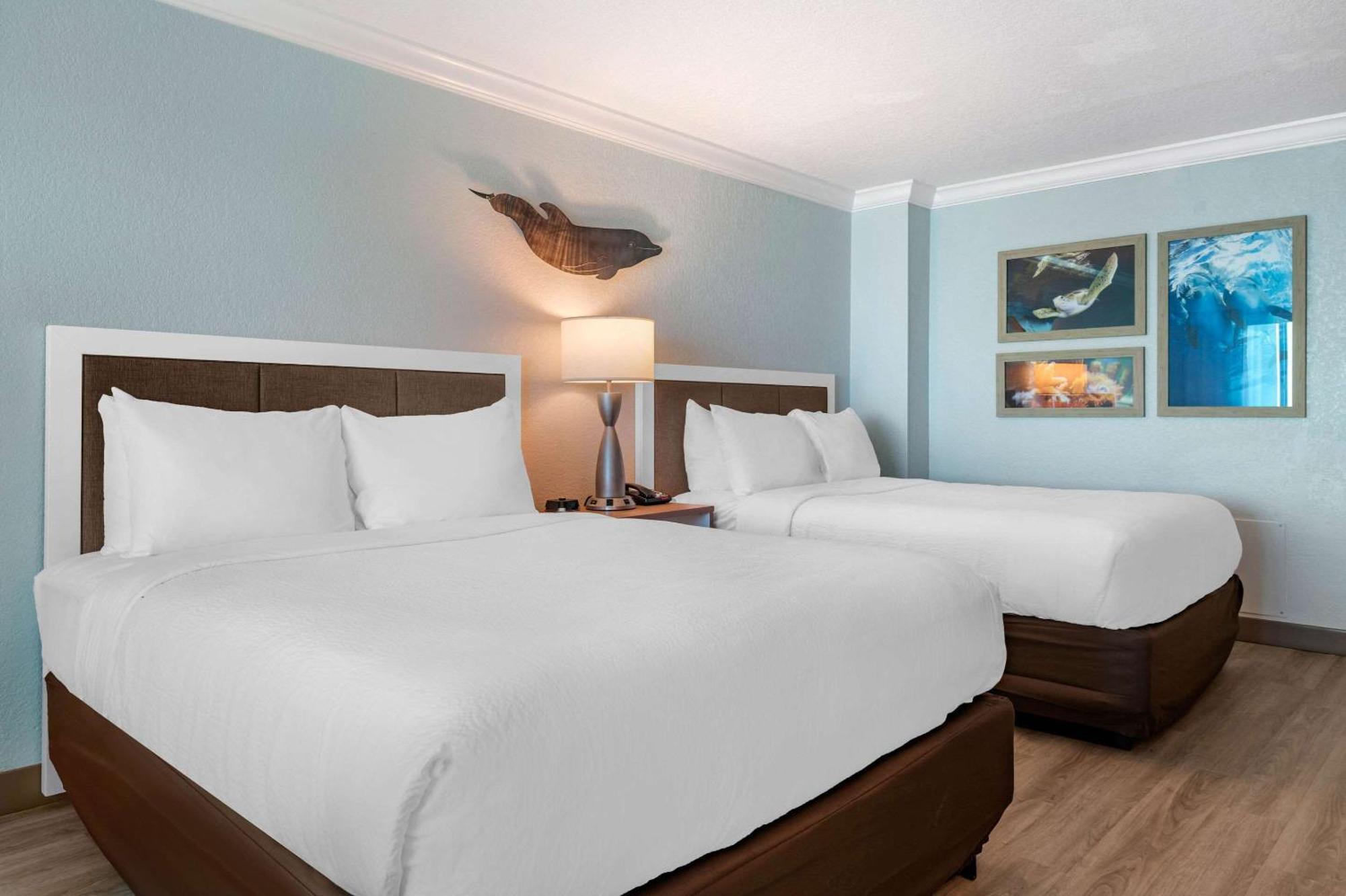 Winter The Dolphin'S Beach Club, Ascend Hotel Collection Clearwater Beach Buitenkant foto