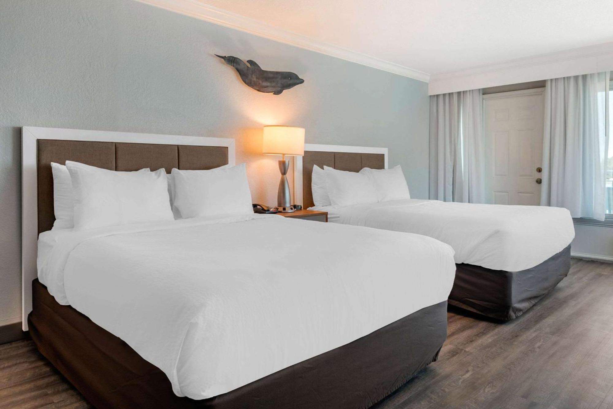 Winter The Dolphin'S Beach Club, Ascend Hotel Collection Clearwater Beach Buitenkant foto