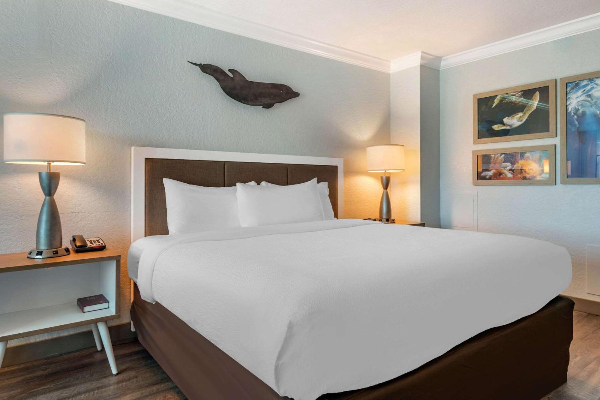 Winter The Dolphin'S Beach Club, Ascend Hotel Collection Clearwater Beach Buitenkant foto