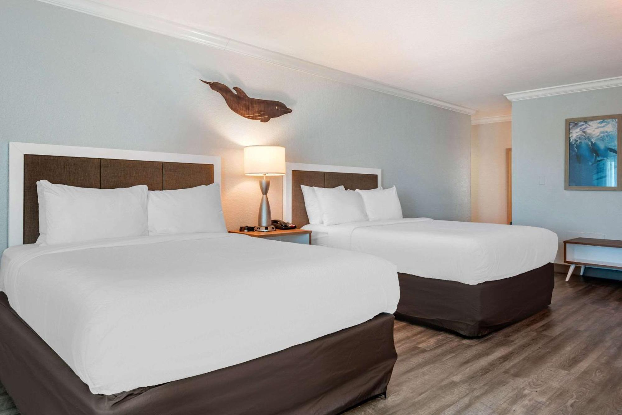 Winter The Dolphin'S Beach Club, Ascend Hotel Collection Clearwater Beach Buitenkant foto