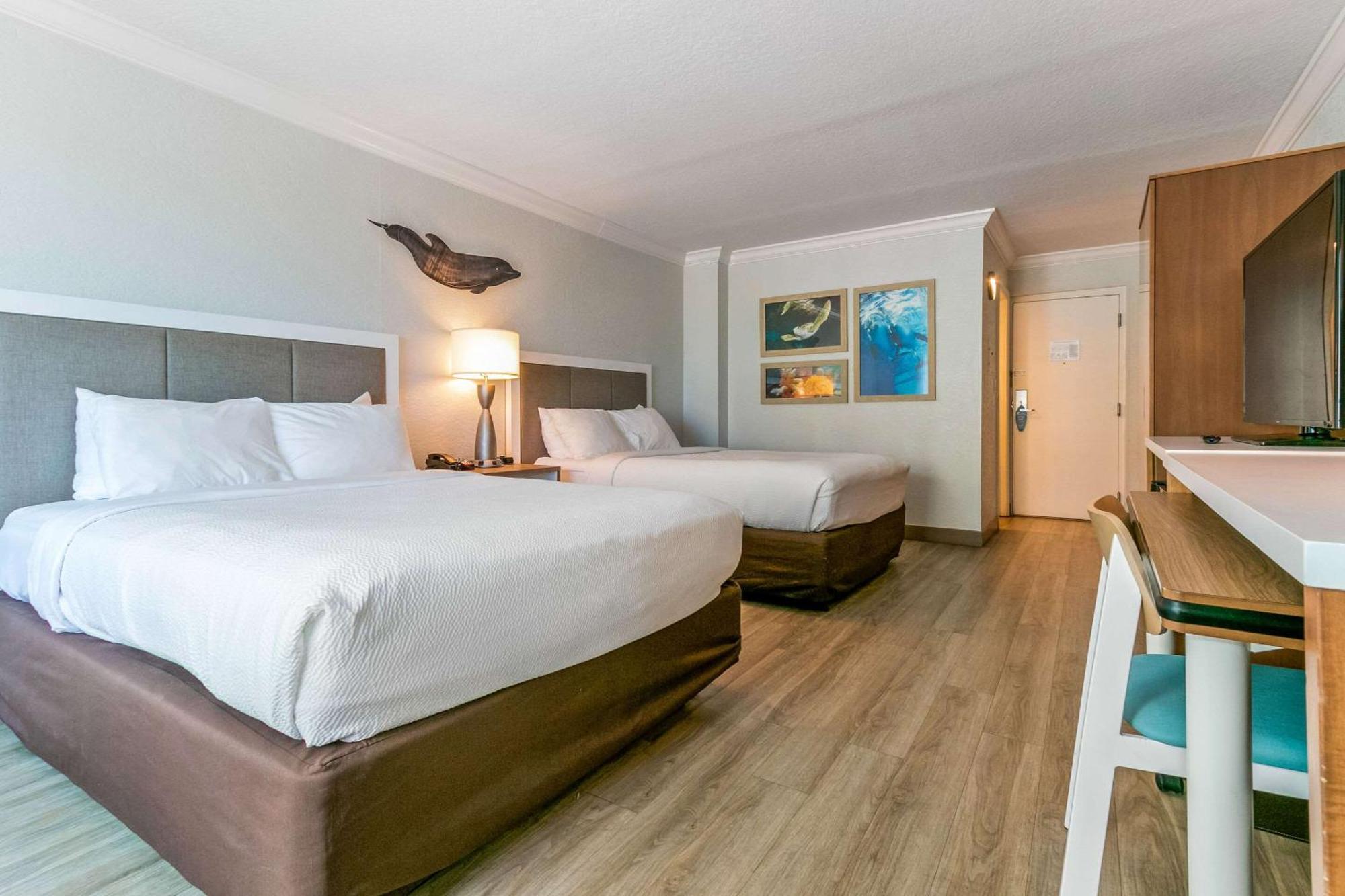Winter The Dolphin'S Beach Club, Ascend Hotel Collection Clearwater Beach Buitenkant foto