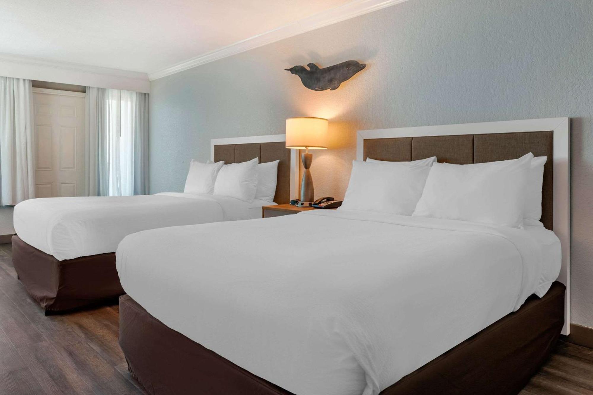 Winter The Dolphin'S Beach Club, Ascend Hotel Collection Clearwater Beach Buitenkant foto